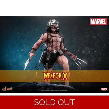 Hot Toys -  Marvel Comics - 1/6th scale Weapon X Collectible Figure